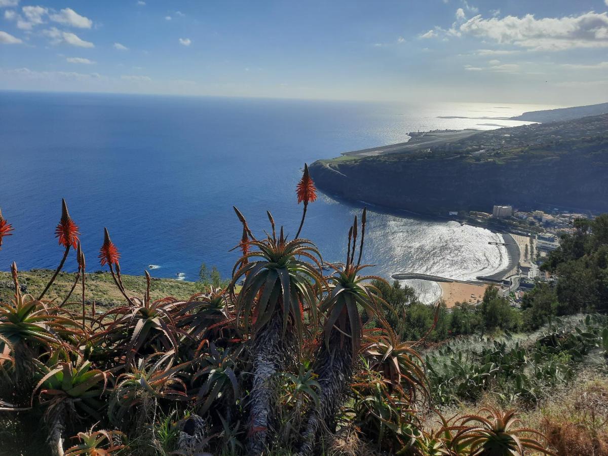Sunny Beach Machico Apartment By Hr Madeira Buitenkant foto
